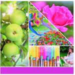 Yankee Candle Art In The Park 567g