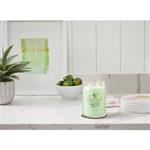 Yankee Candle Uhorka mäta chladiaca 567g
