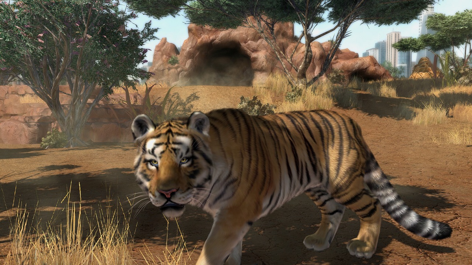 zoo tycoon 2 ultimate collection xbox 360 zoo tycoon 2 ultimate collection xbox 360